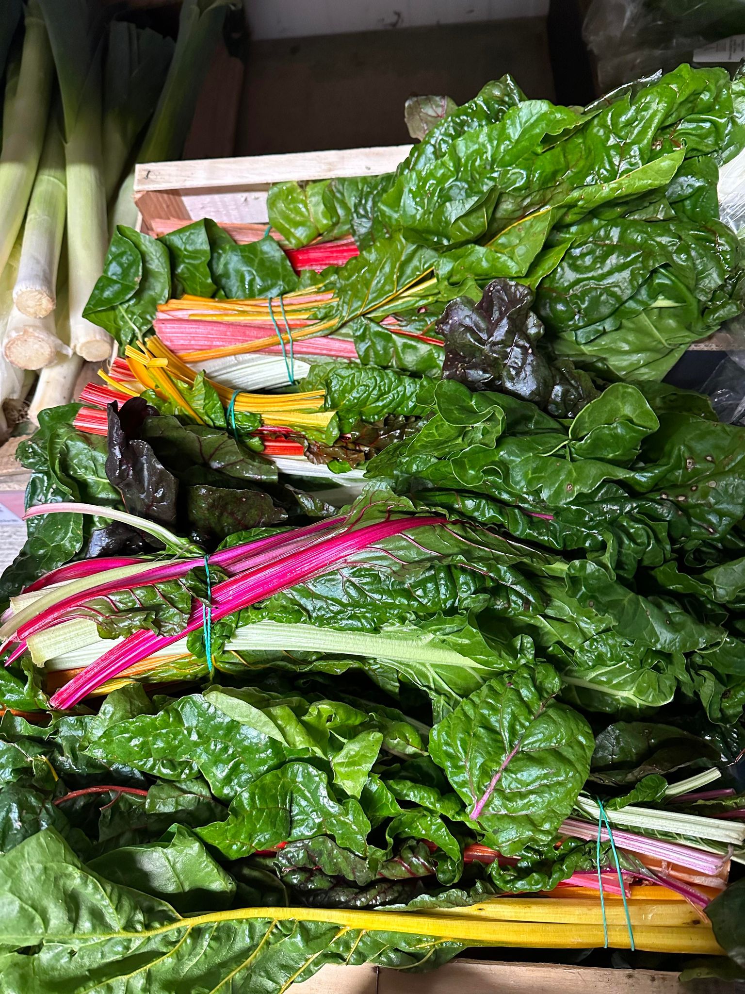 327296028_1521482314998117_5701775573890052204_n