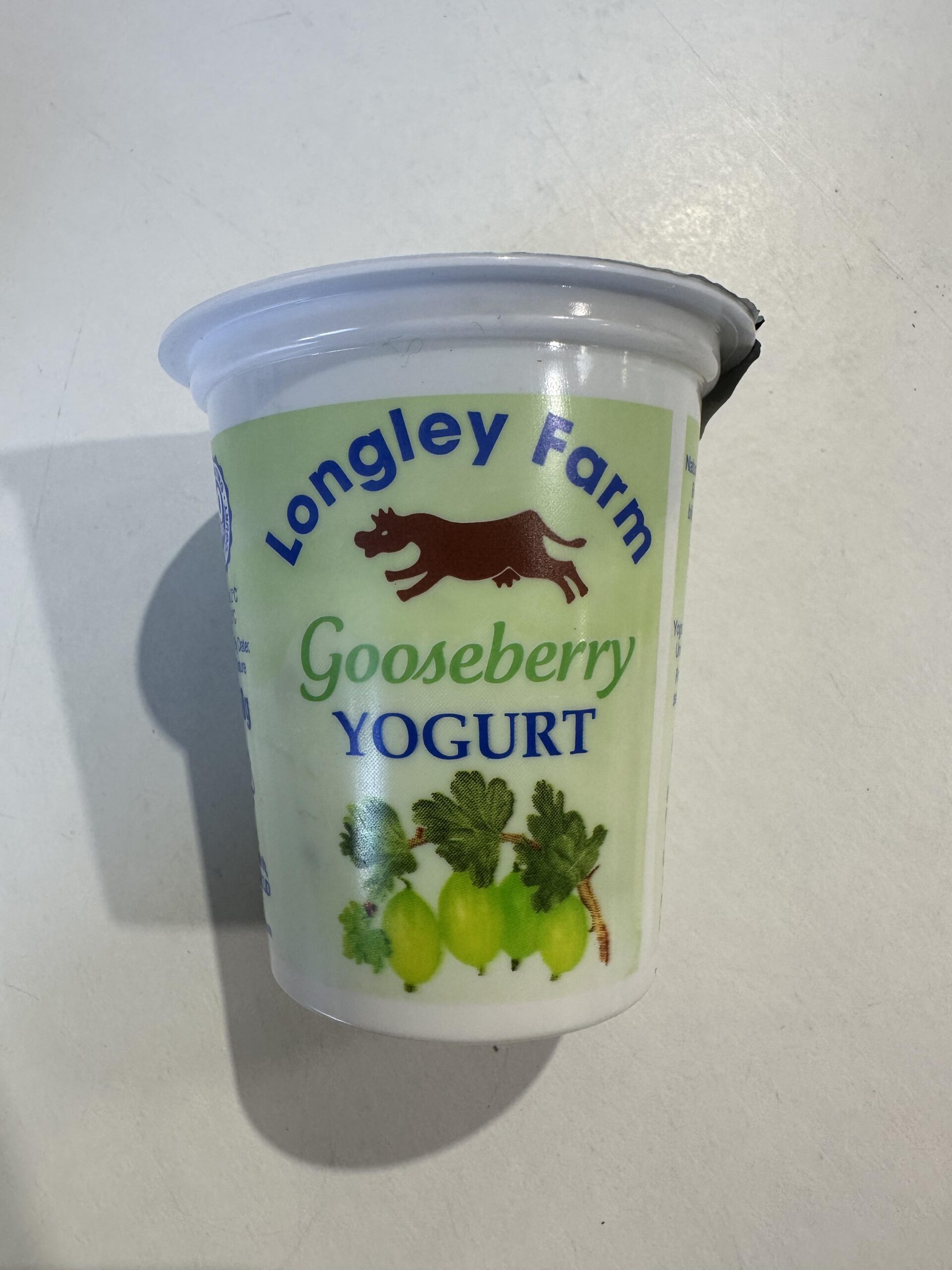 418617799_221683500936688_1278983738968897946_n